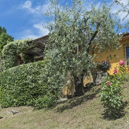 Villa Casalguidi By Posarellivillas